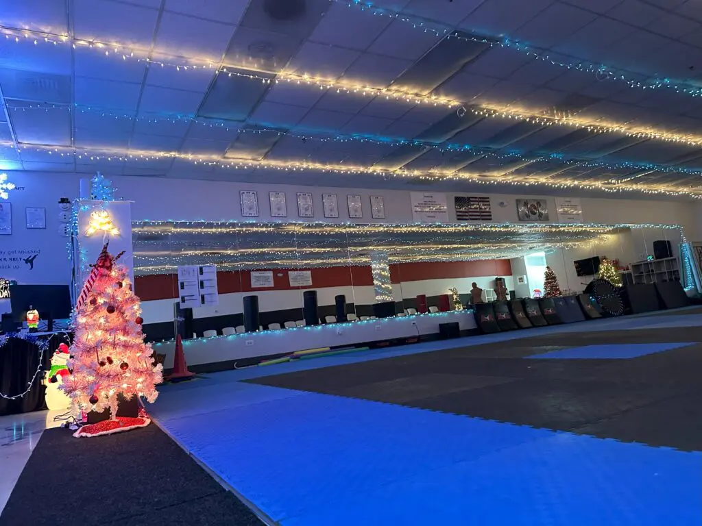 Winter Camp Near Me in Plainfield | Rise Up Martial Arts